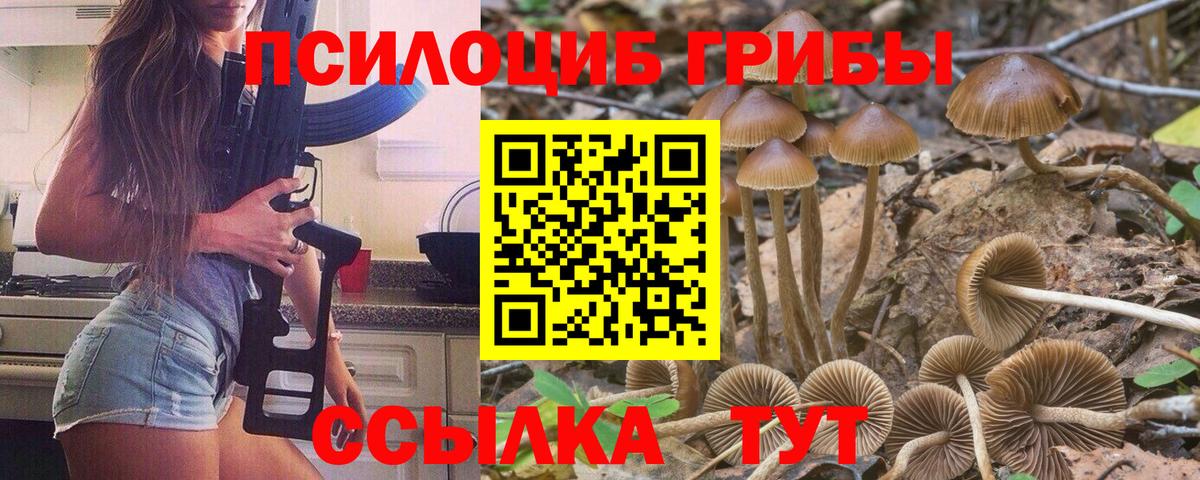 Псилоцибиновые грибы Psilocybine cubensis  Галлюциногенные грибы прущие грибы  Вход с VPN  Уссурийск 